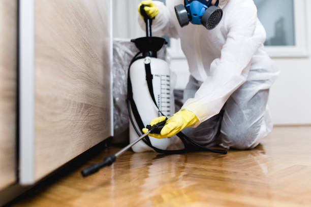 Best Pest Inspection Near Me  in Lawnside, NJ