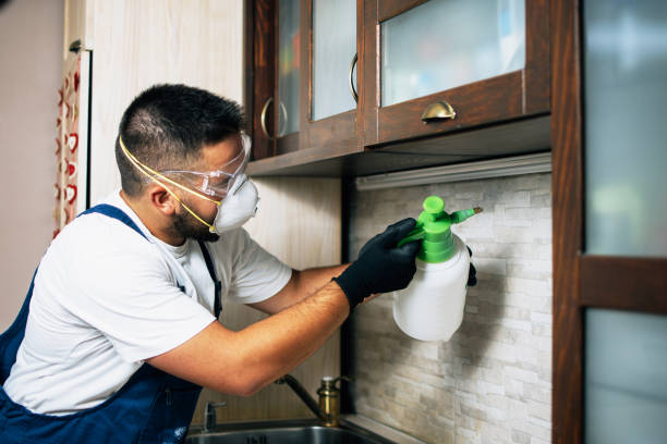 Best Mosquito Control Services  in Lawnside, NJ
