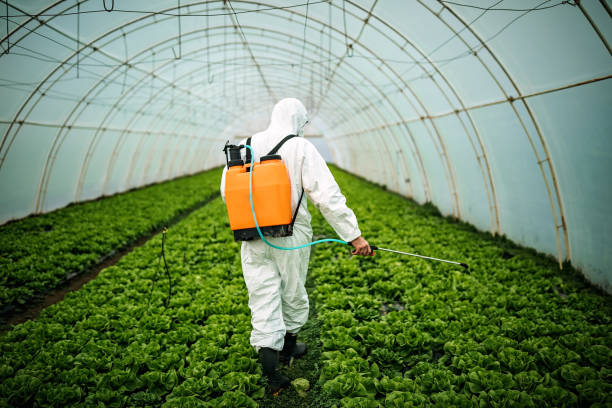 Best Pest Control Near Me  in Lawnside, NJ