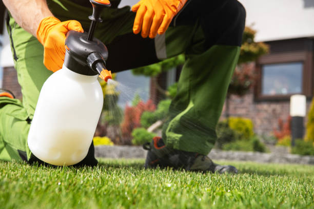 Best Affordable Pest Control Services  in Lawnside, NJ