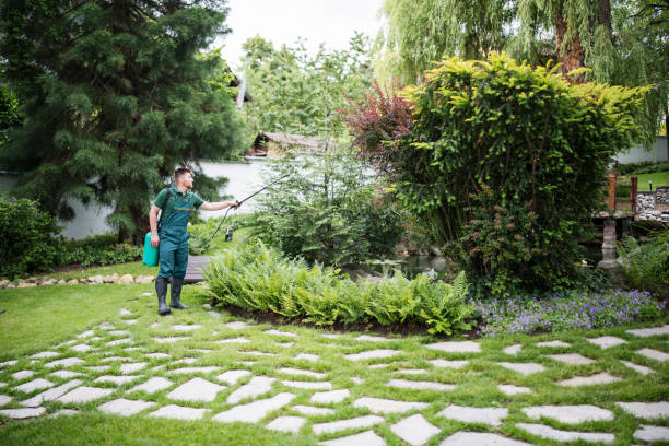 Best Affordable Pest Control Services  in Lawnside, NJ