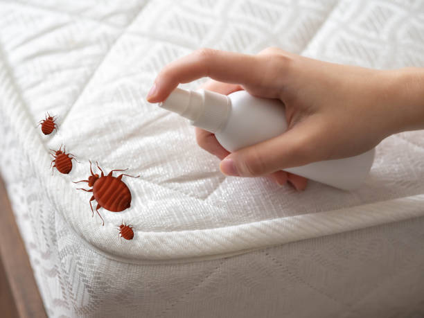 Best Emergency Pest Control  in Lawnside, NJ