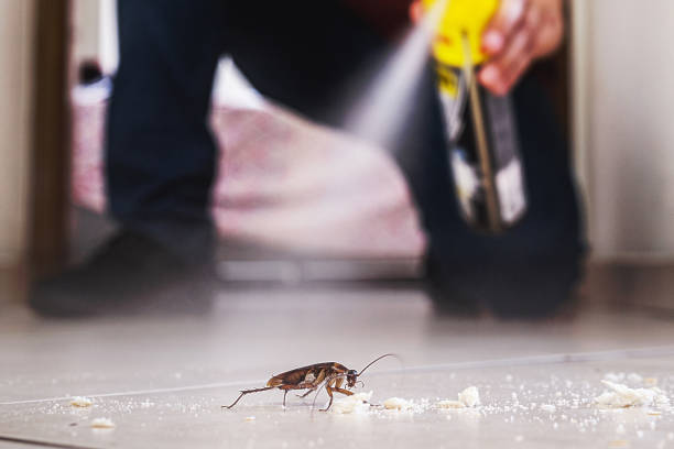 Best Termite Control Services  in Lawnside, NJ