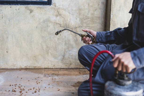 Best Pest Removal Services  in Lawnside, NJ